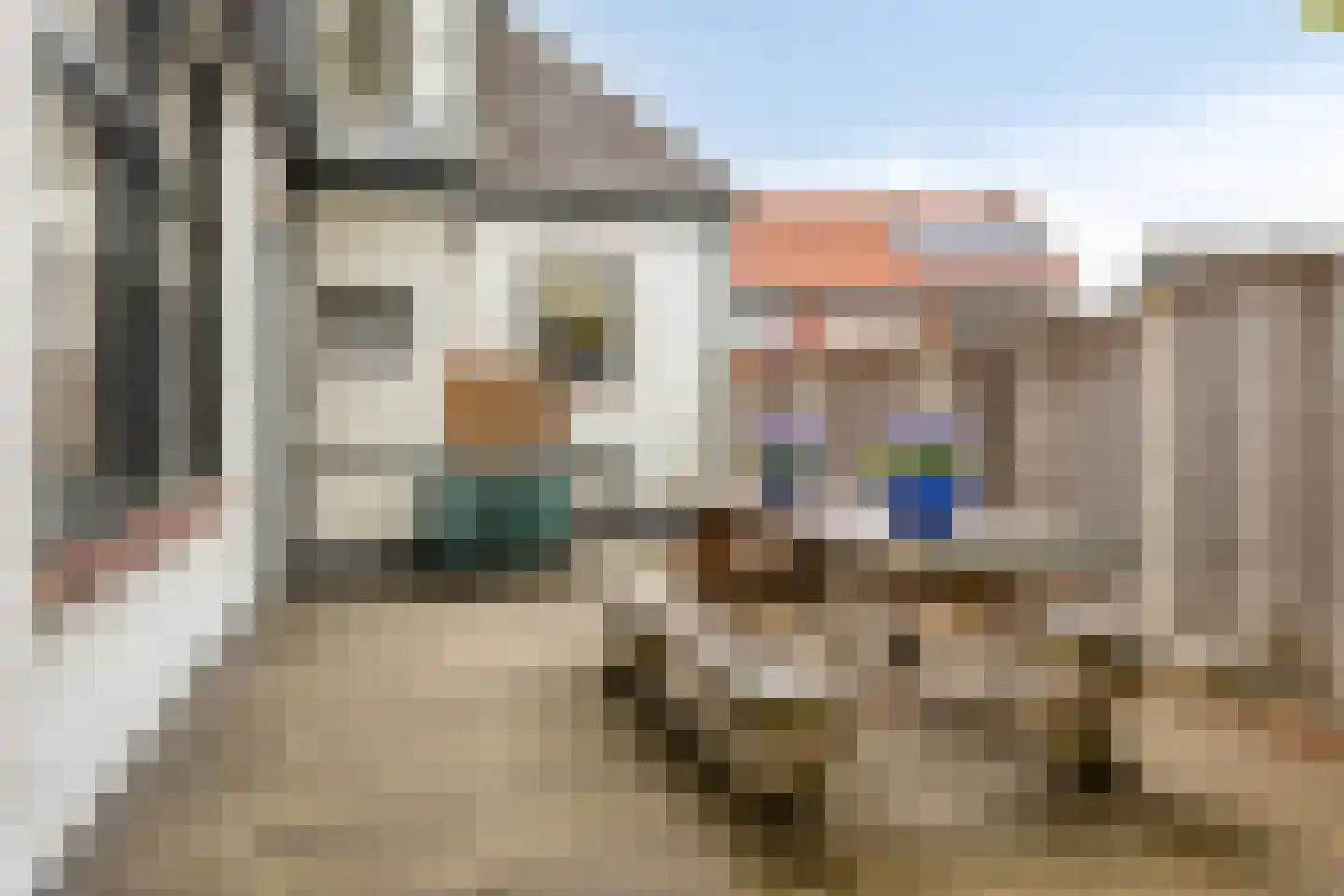 Waliënsestraat 20 Winterswijk thumbnail 39