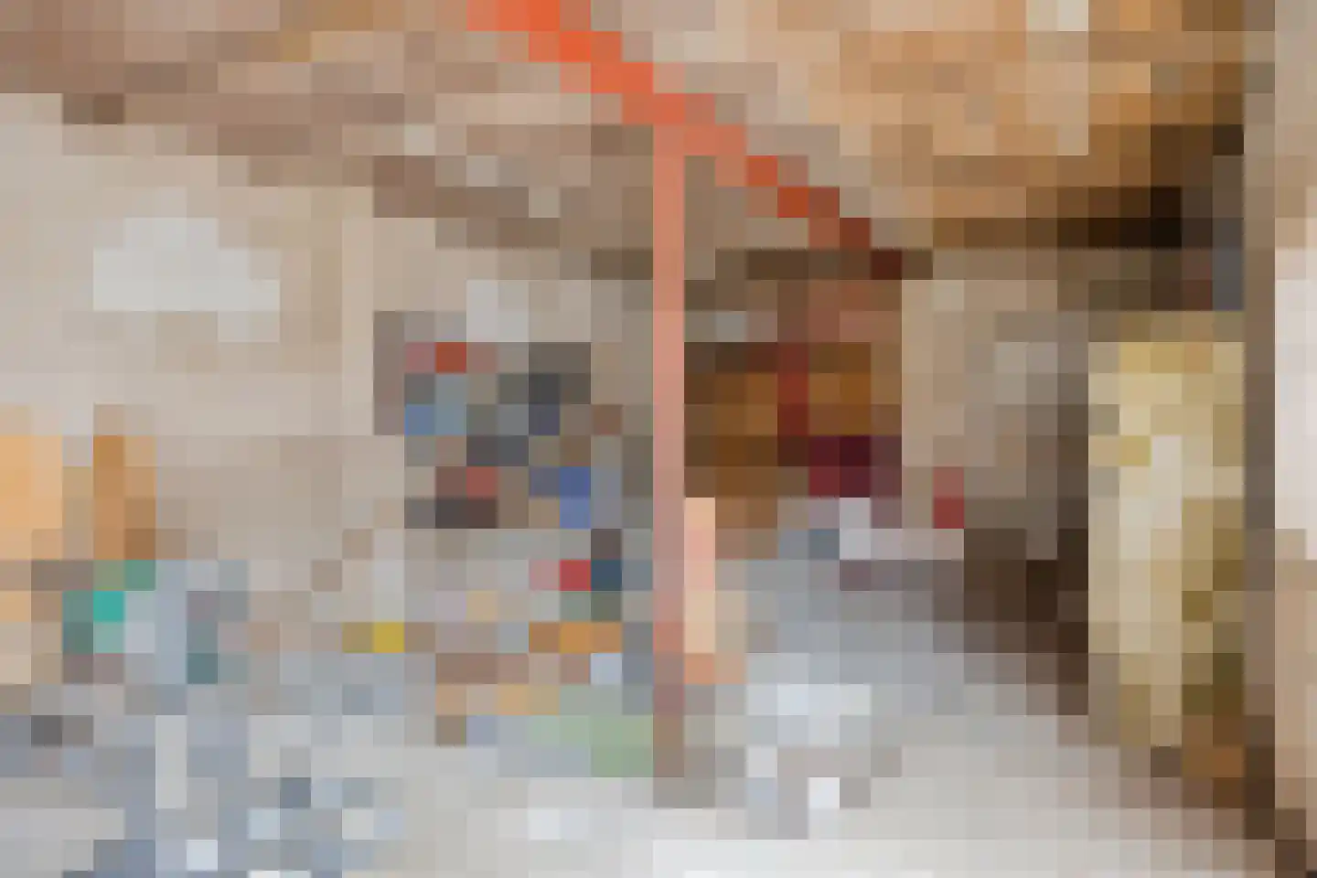Waliënsestraat 20 Winterswijk thumbnail 44