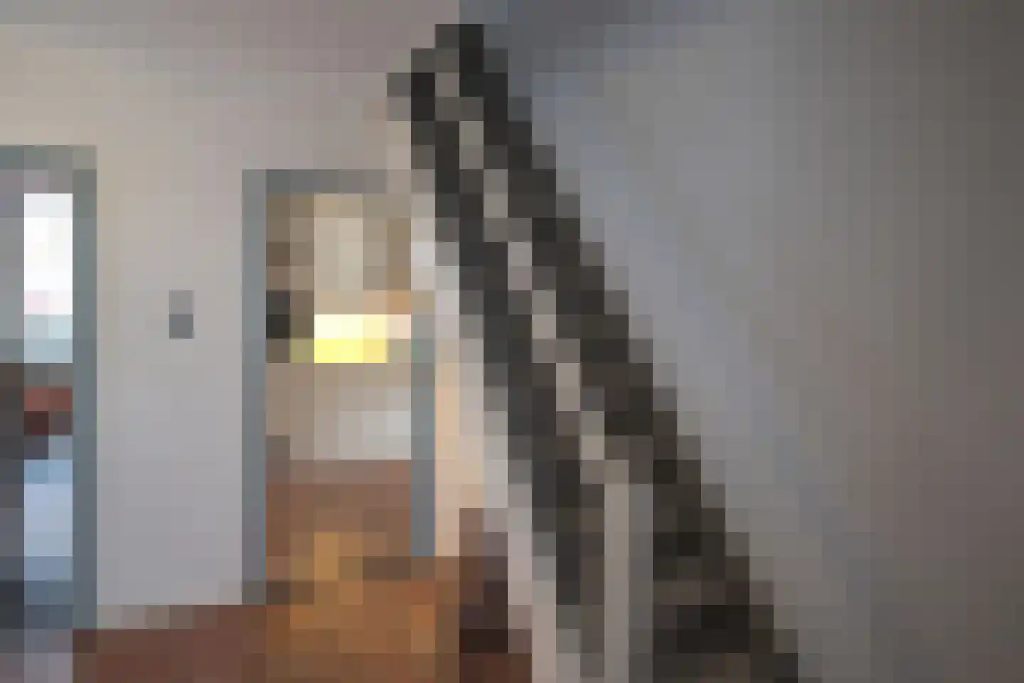 Waliënsestraat 20 Winterswijk thumbnail 7