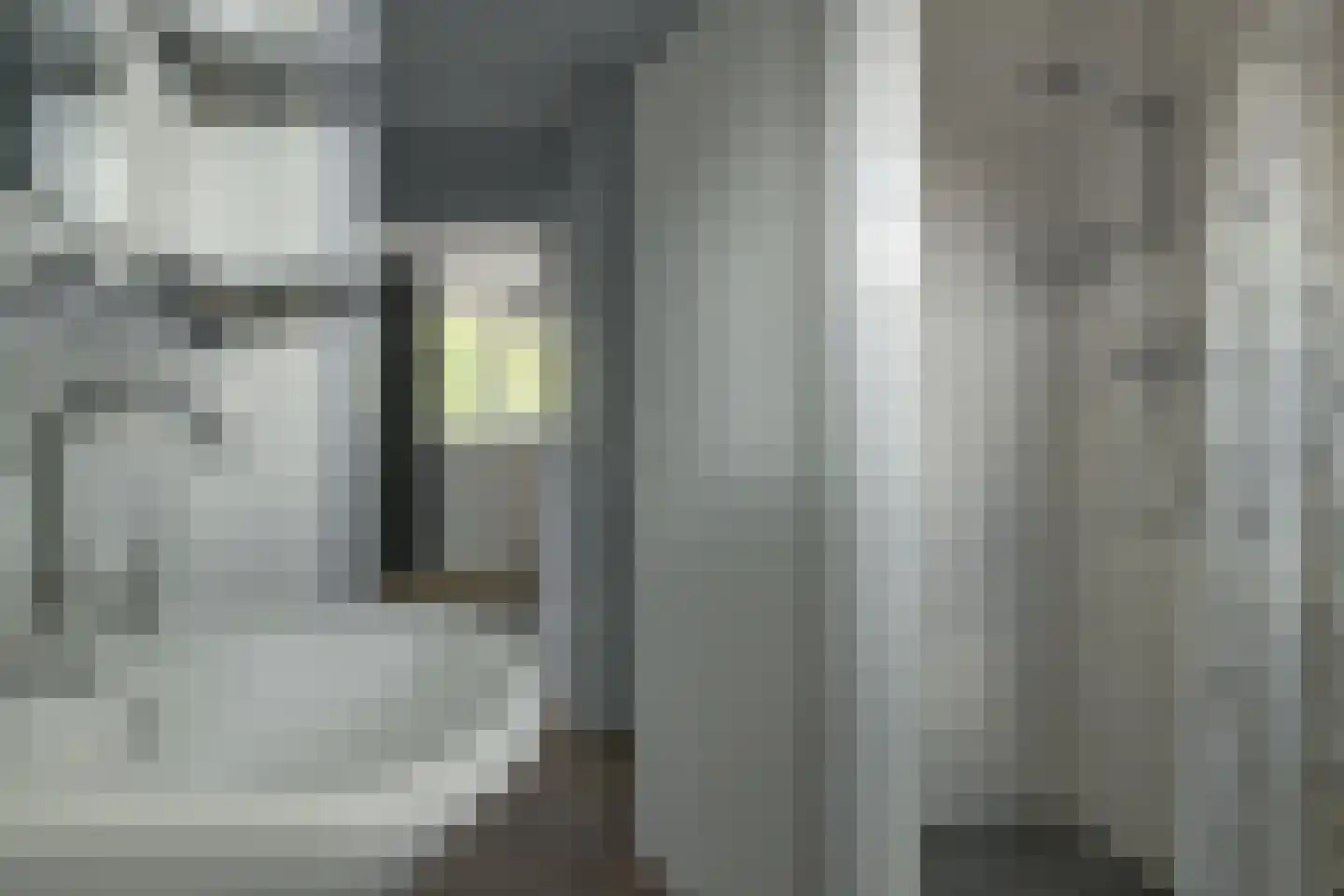 Waling Dijkstrastrjitte 8 Franeker thumbnail 20