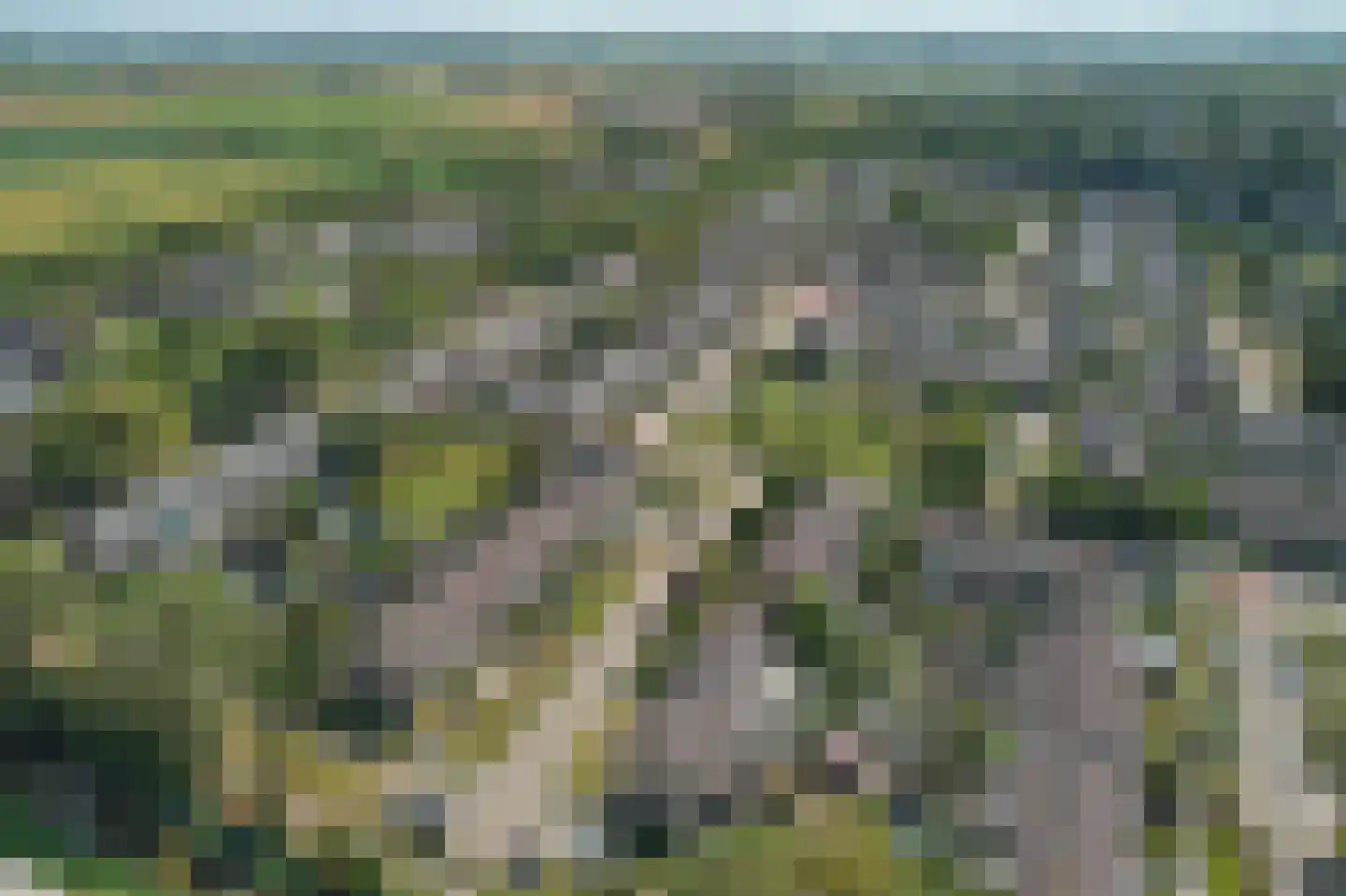 Waling Dijkstrastrjitte 8 Franeker thumbnail 31