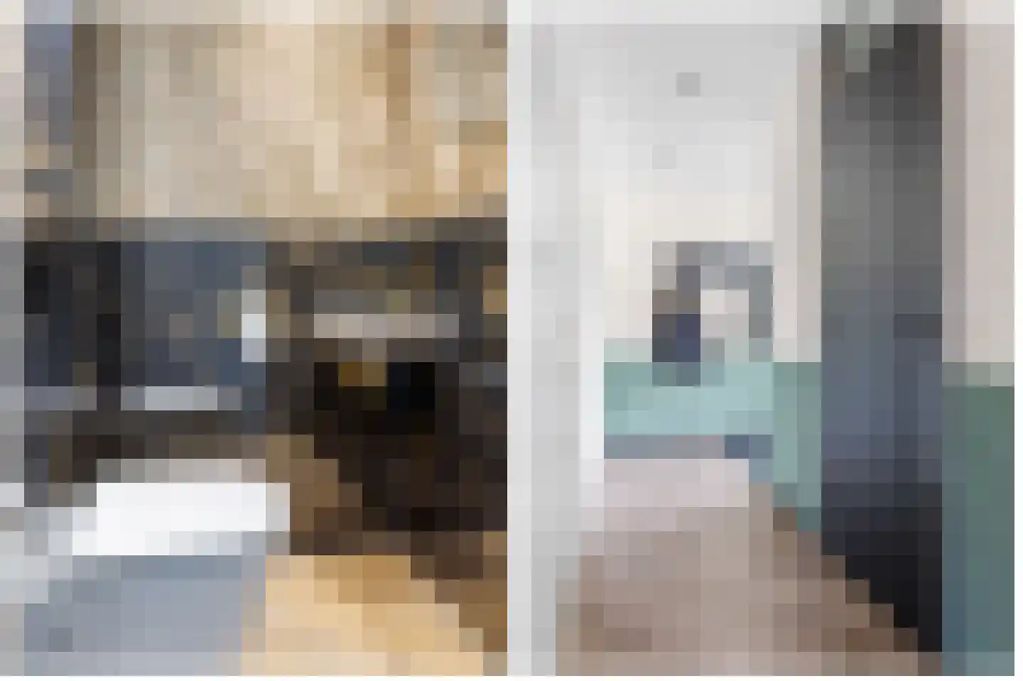 Waling Dykstrastraat 3 Vrouwenparochie thumbnail 10