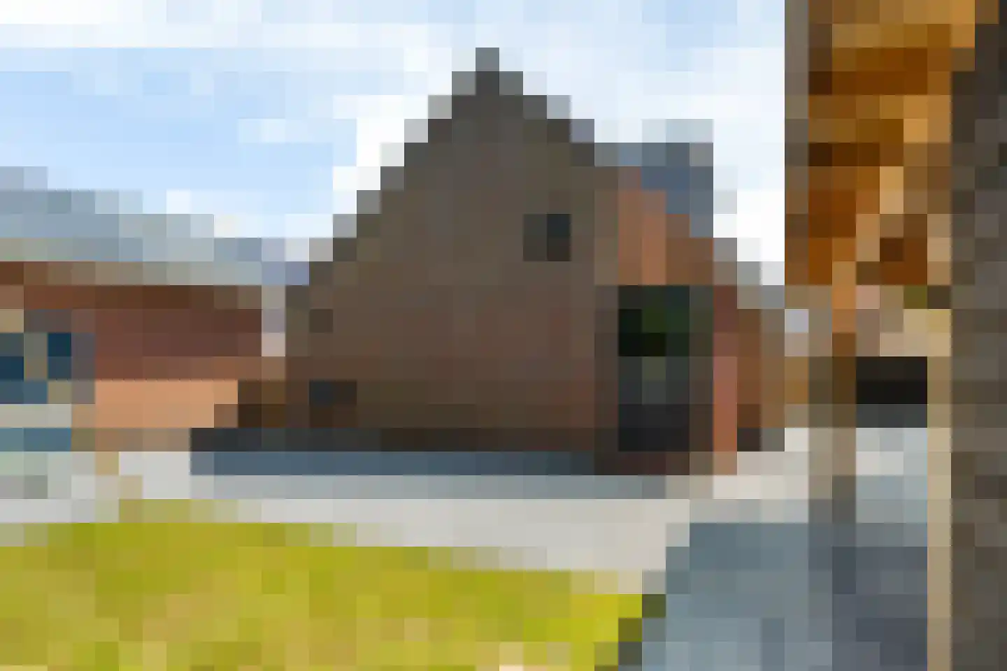 Waling Dykstrastraat 3 Vrouwenparochie thumbnail 25