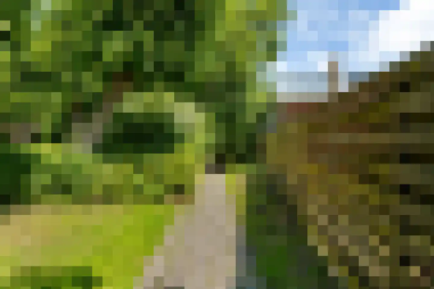 Waling Dykstrastraat 3 Vrouwenparochie thumbnail 30