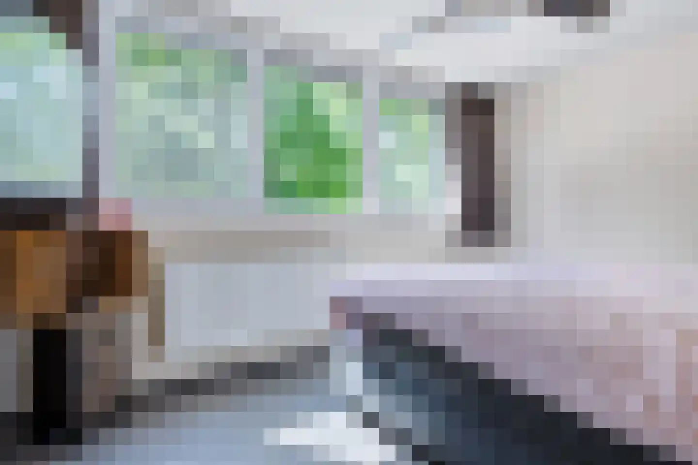 Waling Dykstrastraat 3 Vrouwenparochie thumbnail 36