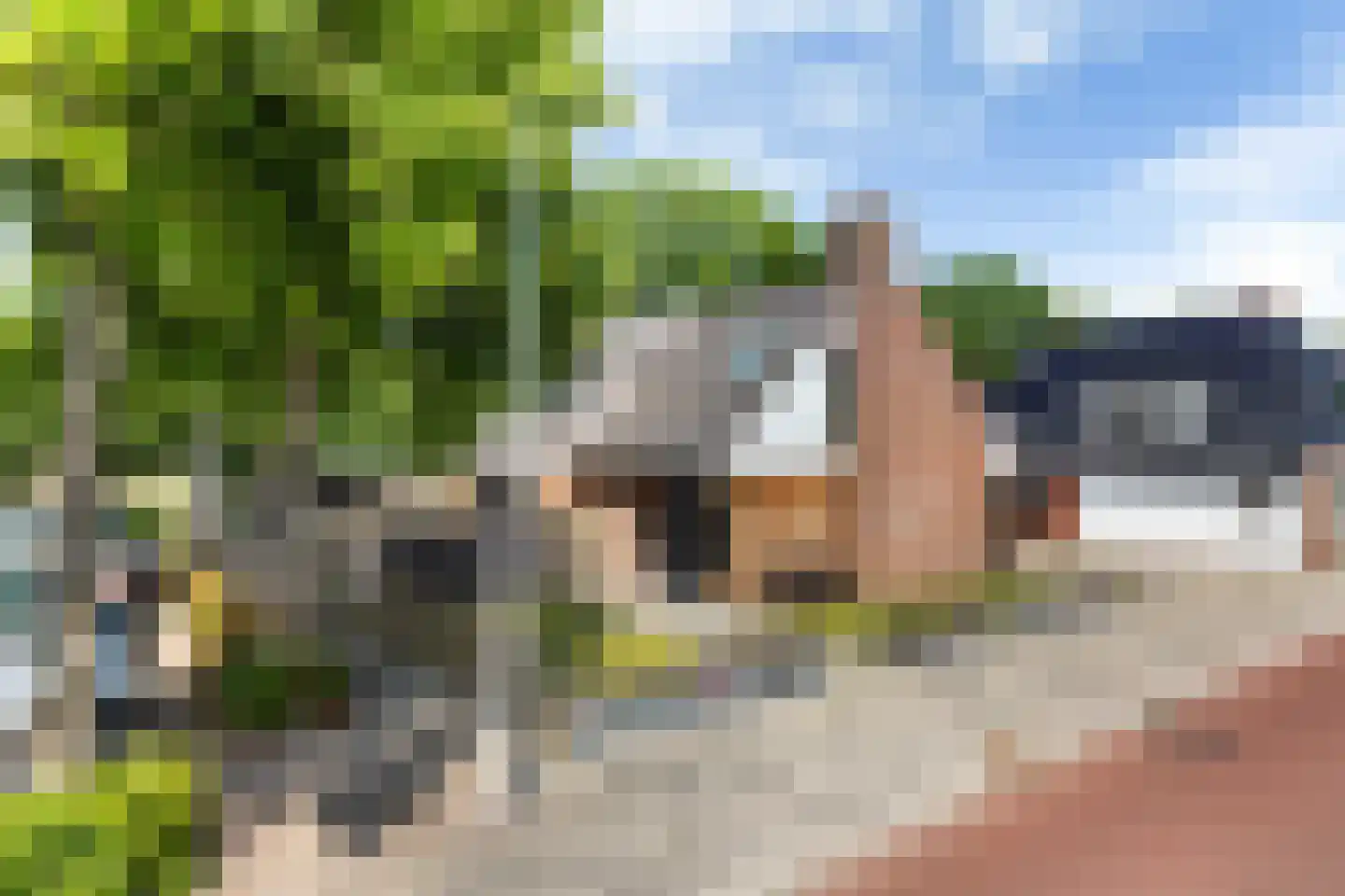 Waling Dykstrastraat 3 Vrouwenparochie thumbnail 4