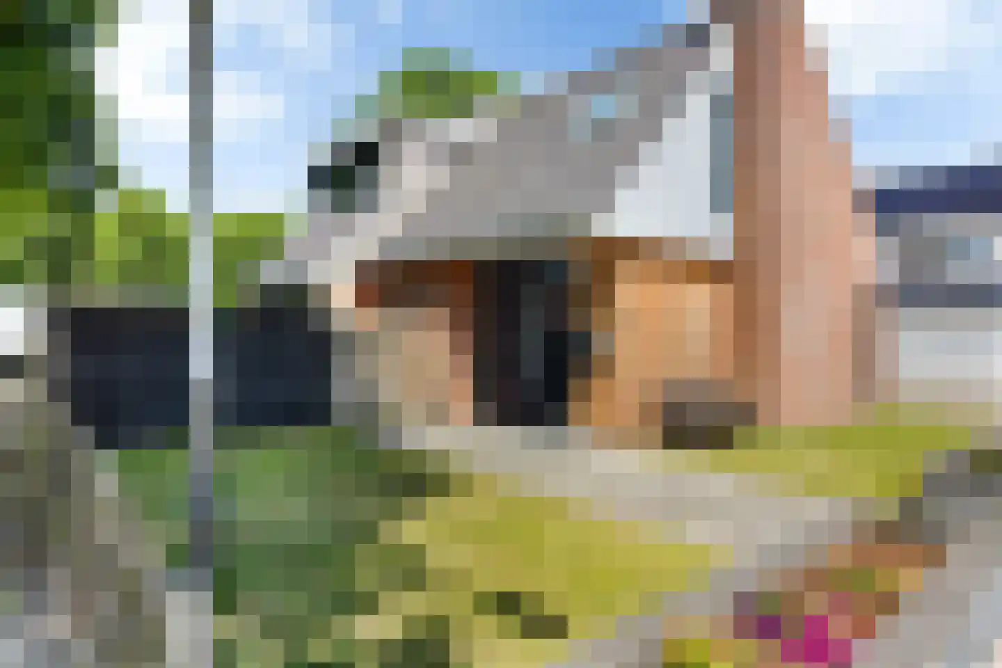Waling Dykstrastraat 3 Vrouwenparochie thumbnail 5