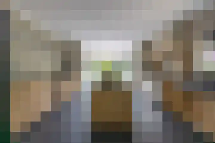 Waling Dykstrastraat 8 Buitenpost thumbnail 10