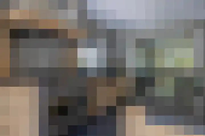 Waling Dykstrastraat 8 Buitenpost thumbnail 11