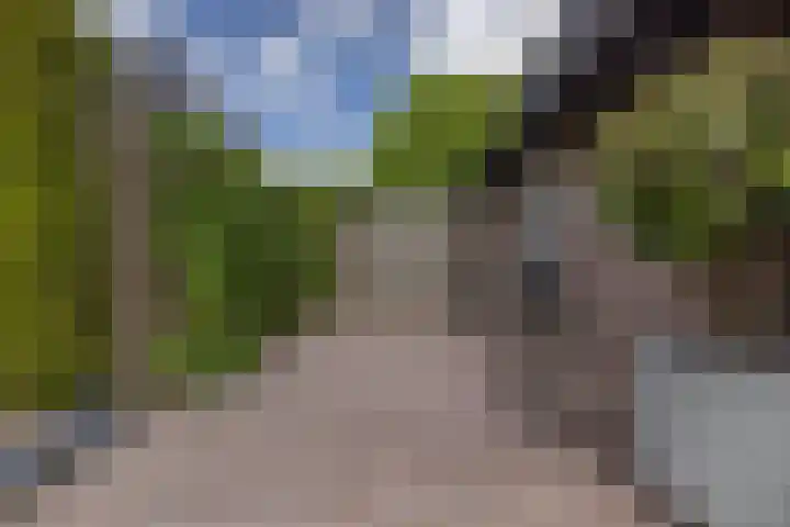 Waling Dykstrastraat 8 Buitenpost thumbnail 41
