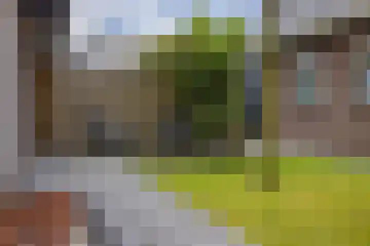 Waling Dykstrastraat 8 Buitenpost thumbnail 47