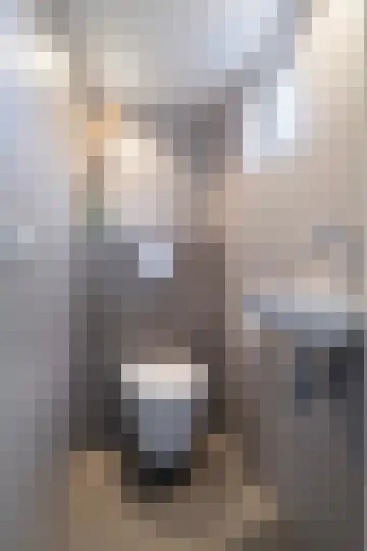 Waling Dykstrastrjitte 10 Holwert thumbnail 11