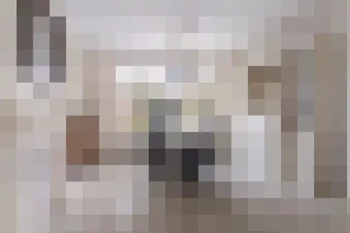 Waling Dykstrastrjitte 10 Holwert thumbnail 19