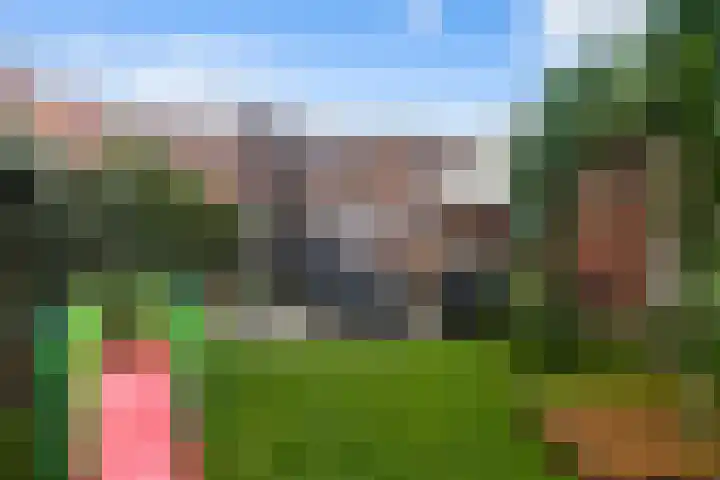 Waling Dykstrastrjitte 10 Holwert thumbnail 27