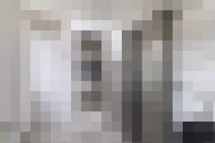Waling Dykstrastrjitte 10 Holwert thumbnail 28