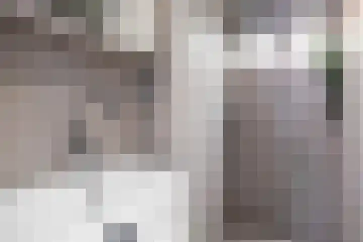 Waling Dykstrastrjitte 10 Holwert thumbnail 31