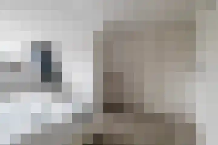 Waling Dykstrastrjitte 10 Holwert thumbnail 39