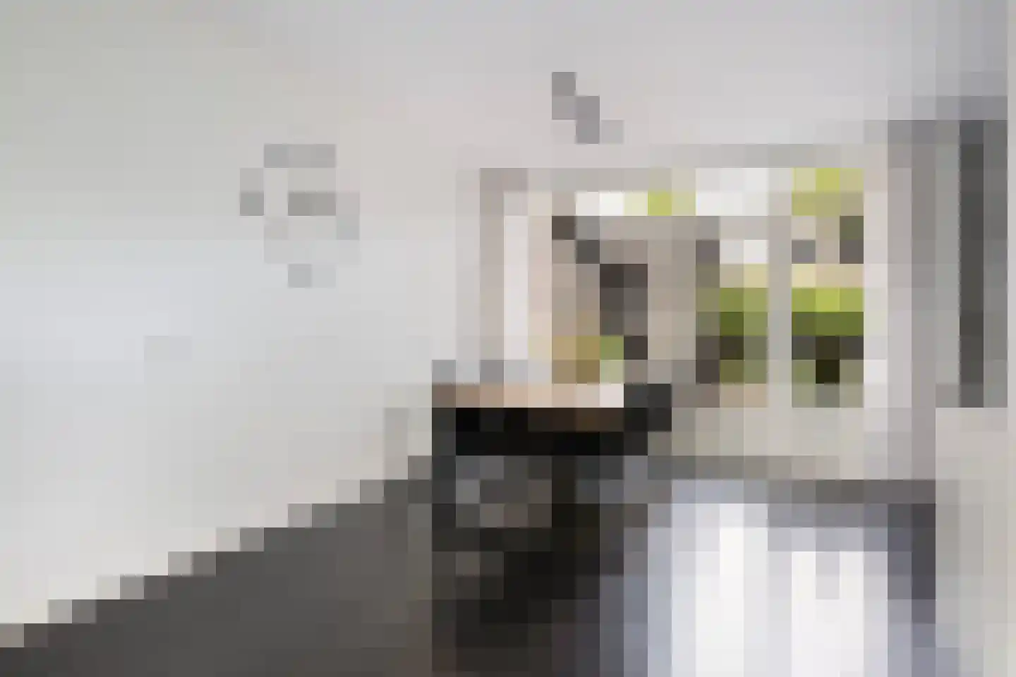 Waling Dykstrastrjitte 14 Gytsjerk thumbnail 18