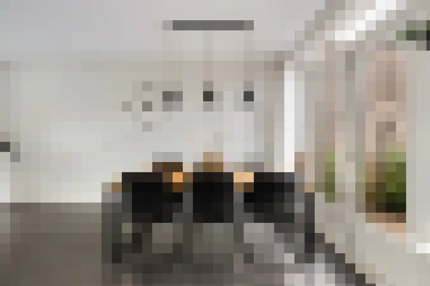 Waling Dykstrastrjitte 14 Gytsjerk thumbnail 24