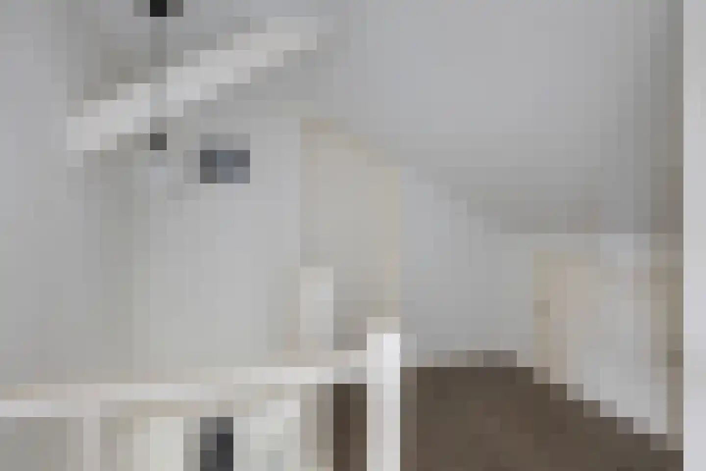 Waling Dykstrastrjitte 14 Gytsjerk thumbnail 36