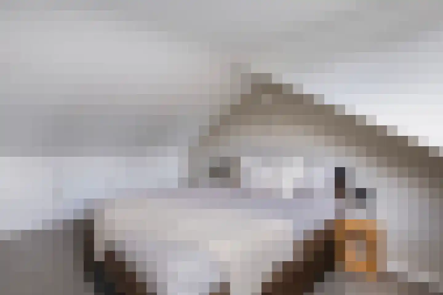 Waling Dykstrastrjitte 14 Gytsjerk thumbnail 39