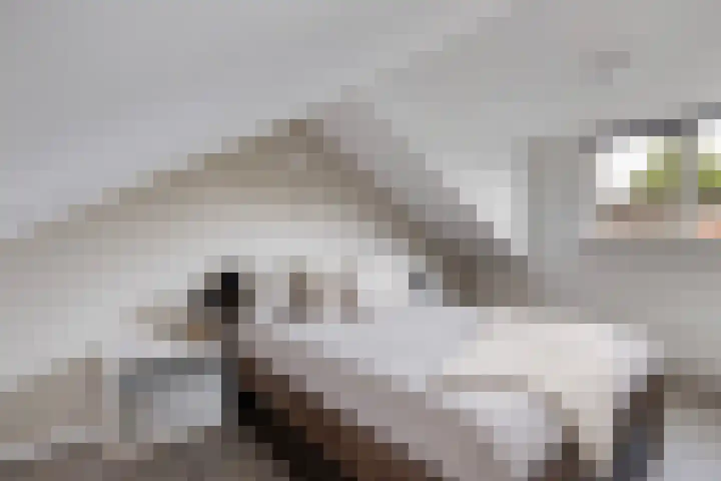 Waling Dykstrastrjitte 14 Gytsjerk thumbnail 4