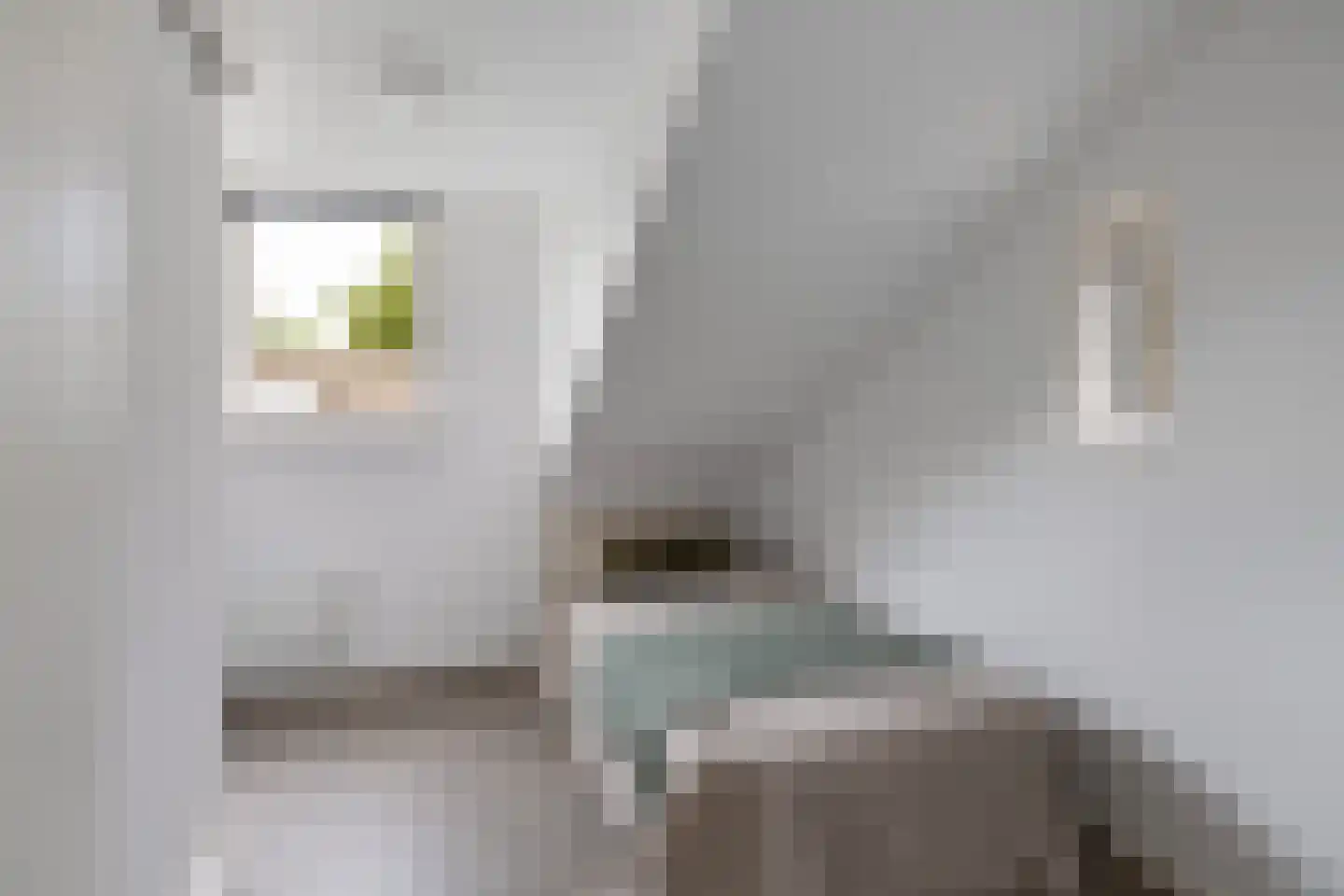 Waling Dykstrastrjitte 14 Gytsjerk thumbnail 41