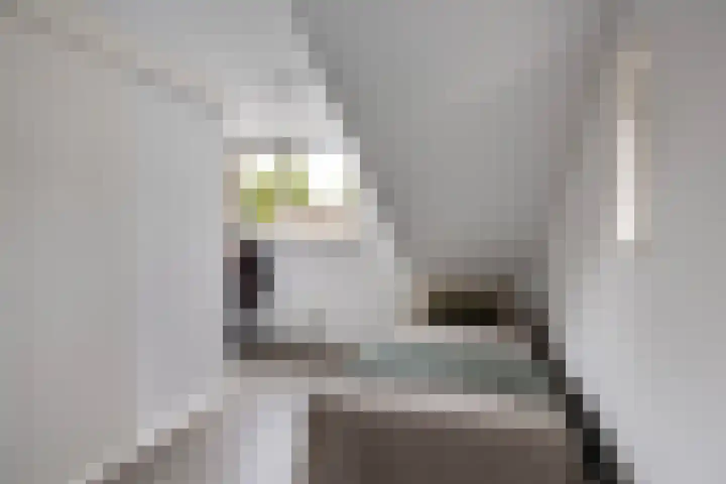 Waling Dykstrastrjitte 14 Gytsjerk thumbnail 42