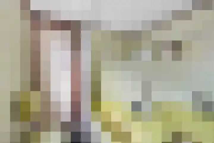 Waling Dykstrastrjitte 16 Holwert thumbnail 18