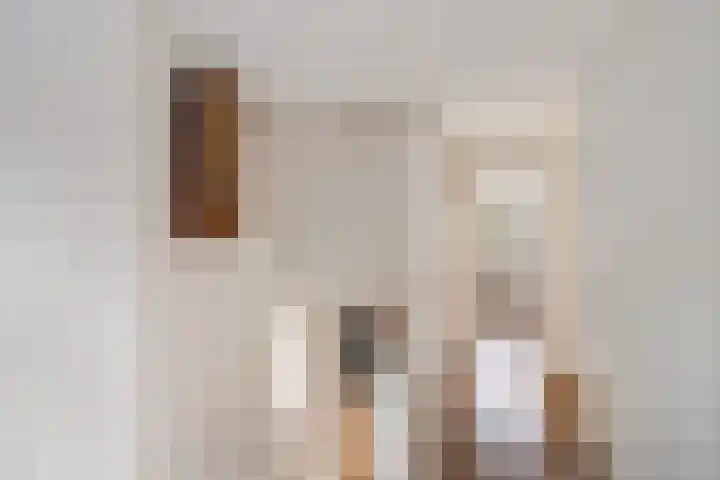 Waling Dykstrastrjitte 16 Holwert thumbnail 20