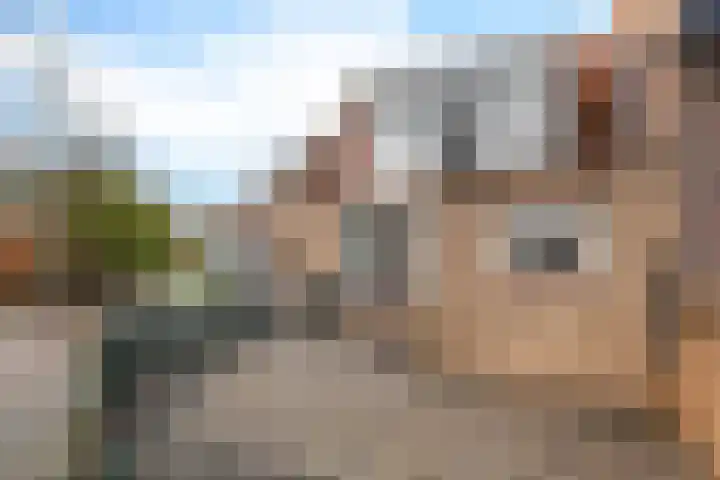 Waling Dykstrastrjitte 16 Holwert thumbnail 27