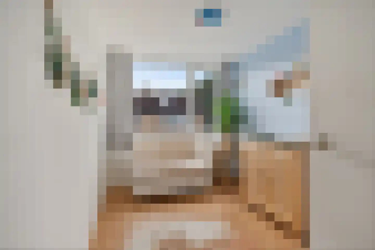 Waling Dykstrastrjitte 55 Gytsjerk thumbnail 21