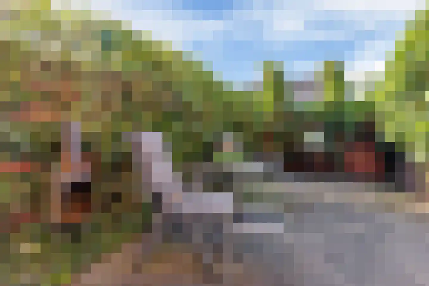 Waling Dykstrastrjitte 57 Gytsjerk thumbnail 17