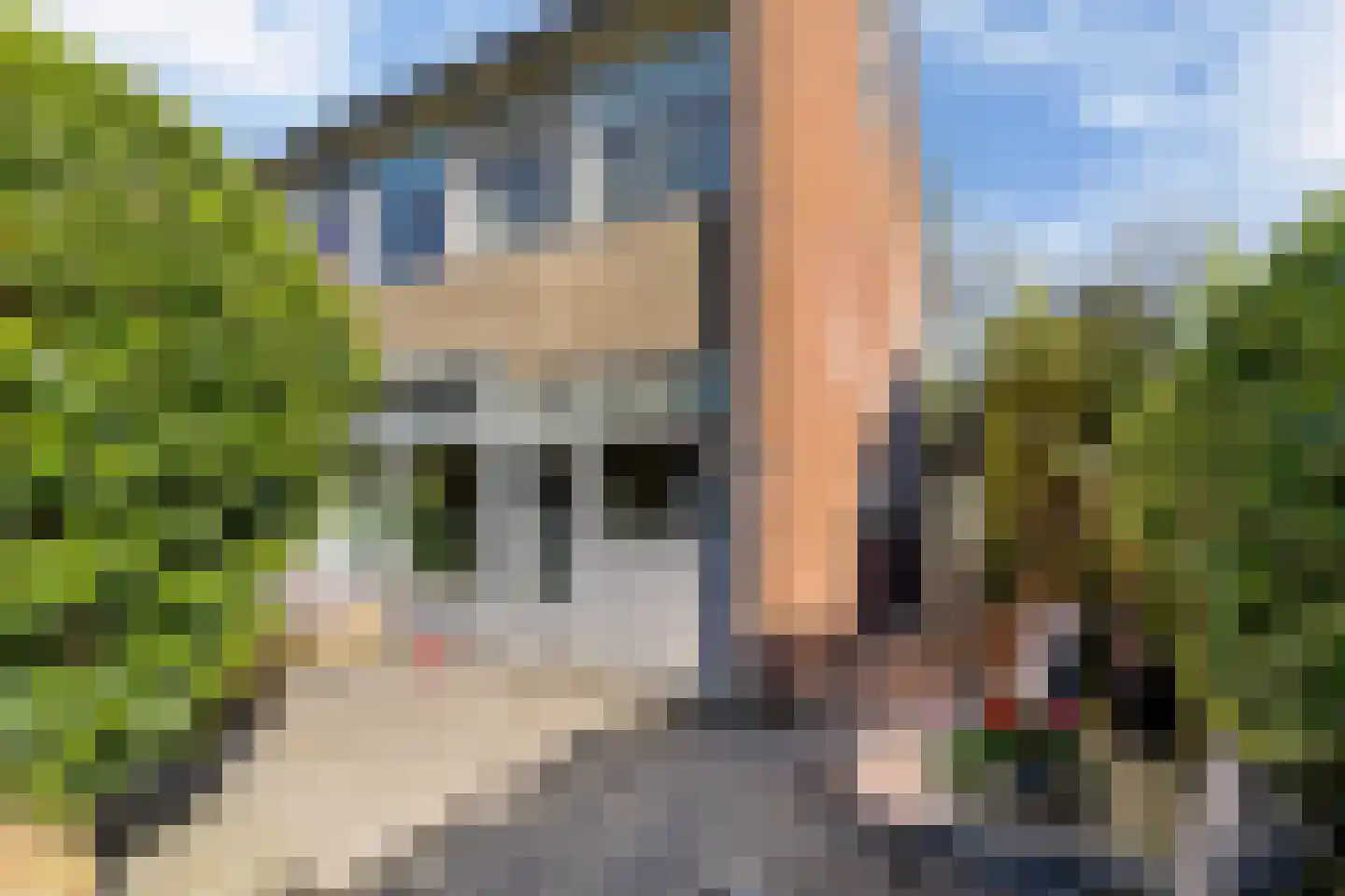 Waling Dykstrastrjitte 57 Gytsjerk thumbnail 19