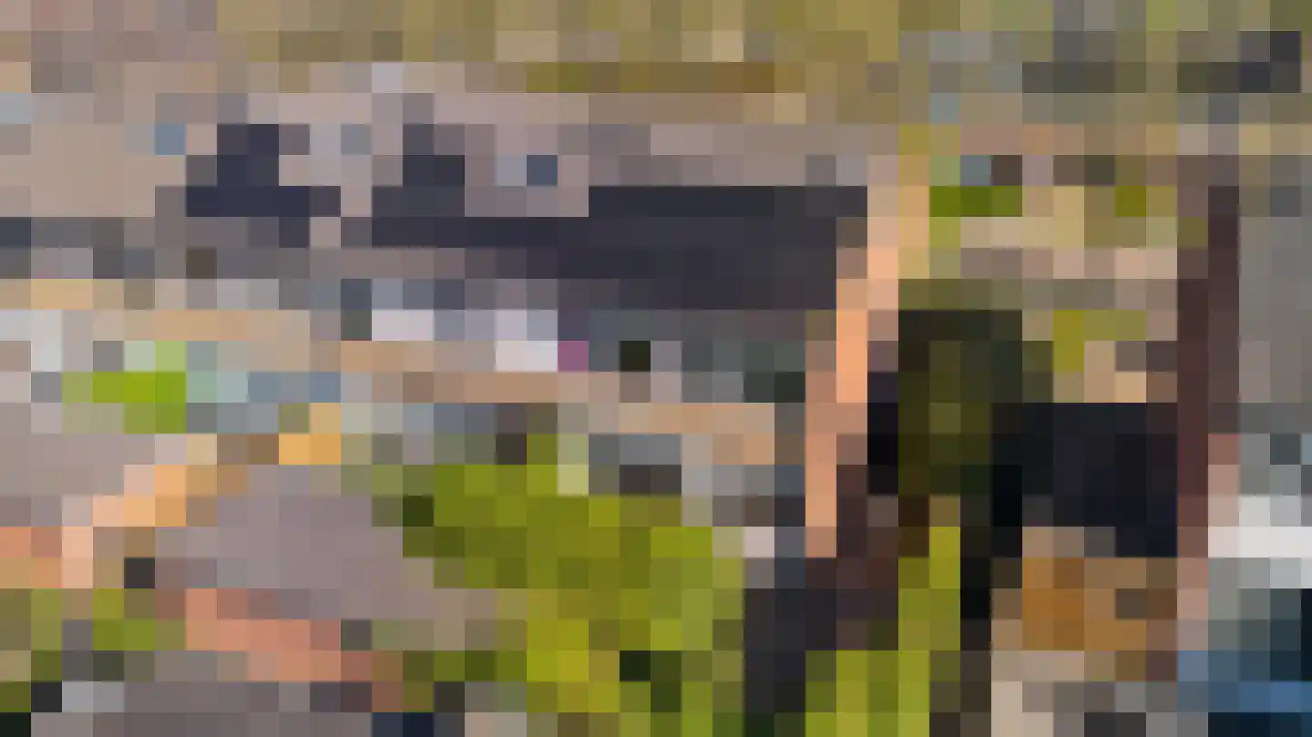 Waling Dykstrastrjitte 57 Gytsjerk foto 2