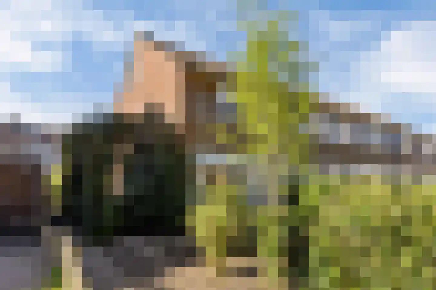 Waling Dykstrastrjitte 57 Gytsjerk thumbnail 37