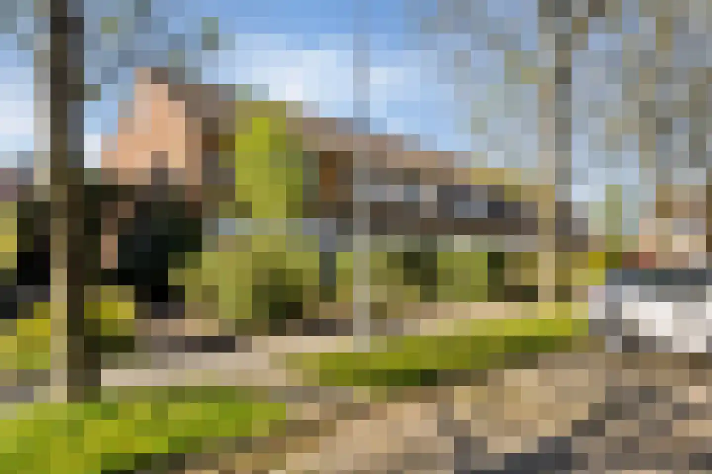 Waling Dykstrastrjitte 57 Gytsjerk thumbnail 38