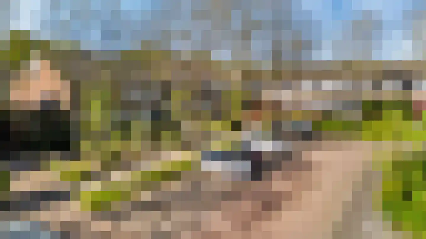 Waling Dykstrastrjitte 57 Gytsjerk thumbnail 40