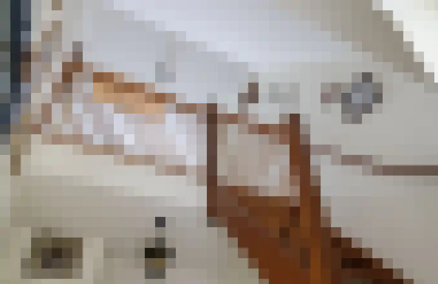 Waling Dykstrastrjitte 7 Spannum thumbnail 13