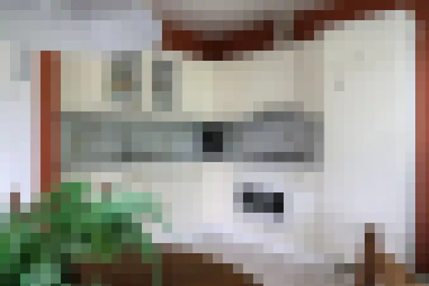 Waling Dykstrastrjitte 7 Spannum thumbnail 26