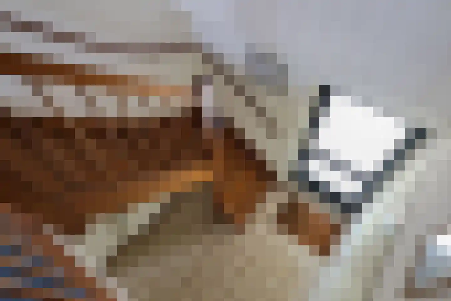 Waling Dykstrastrjitte 7 Spannum thumbnail 37