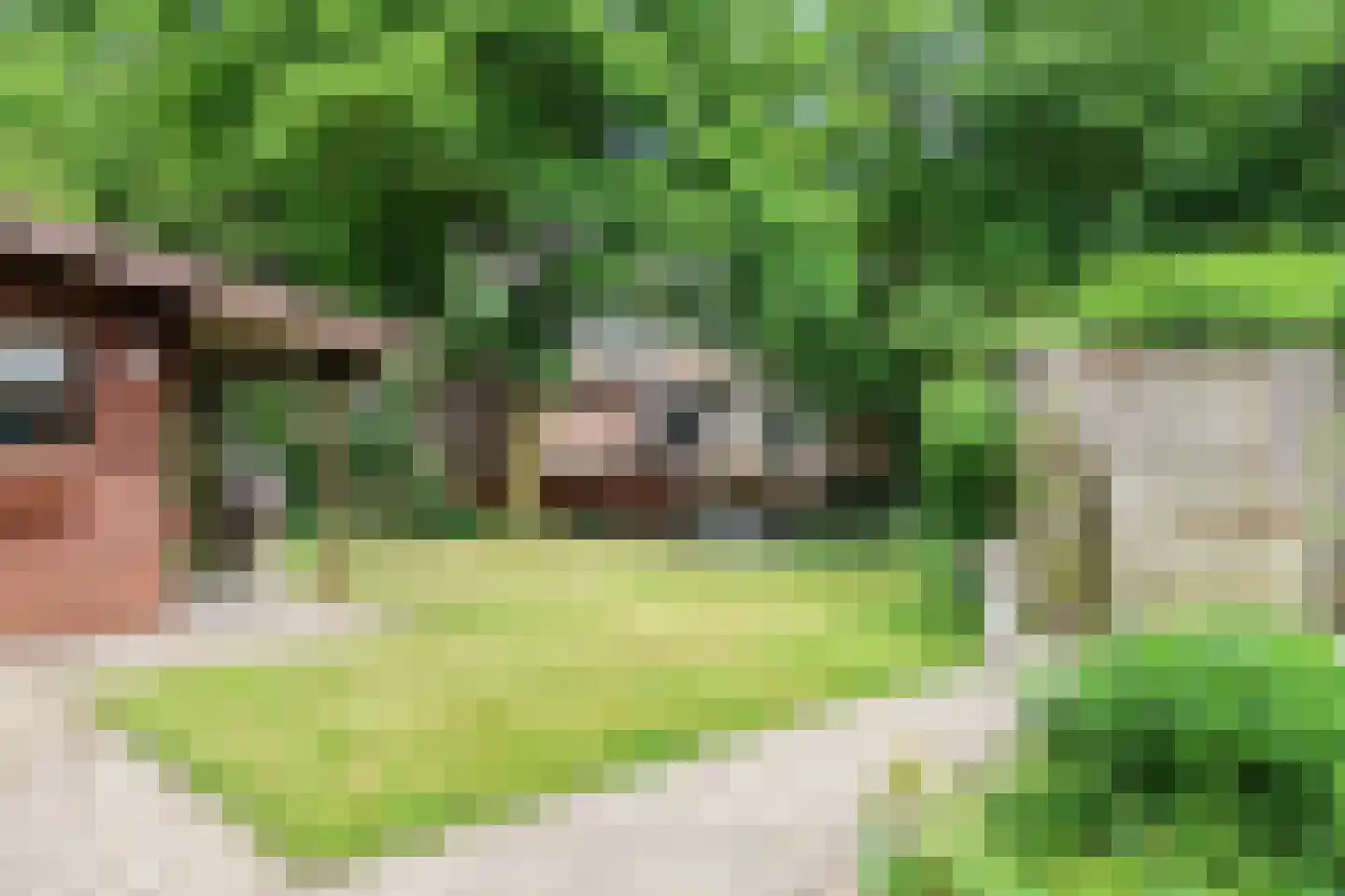 Waling Dykstrastrjitte 7 Spannum thumbnail 52