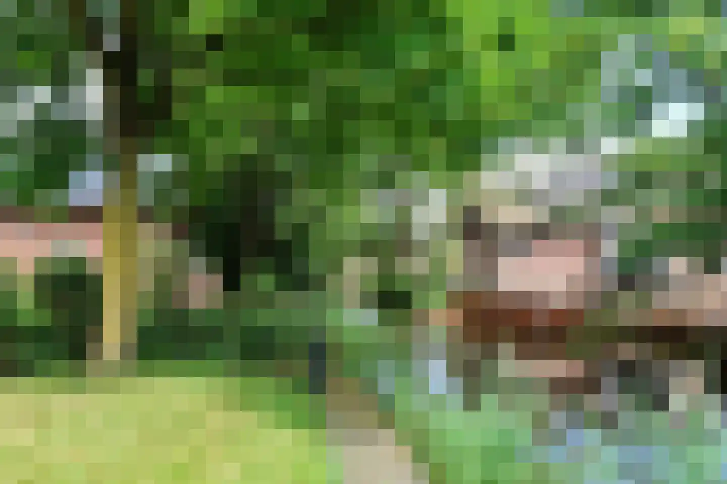 Waling Dykstrastrjitte 7 Spannum thumbnail 53
