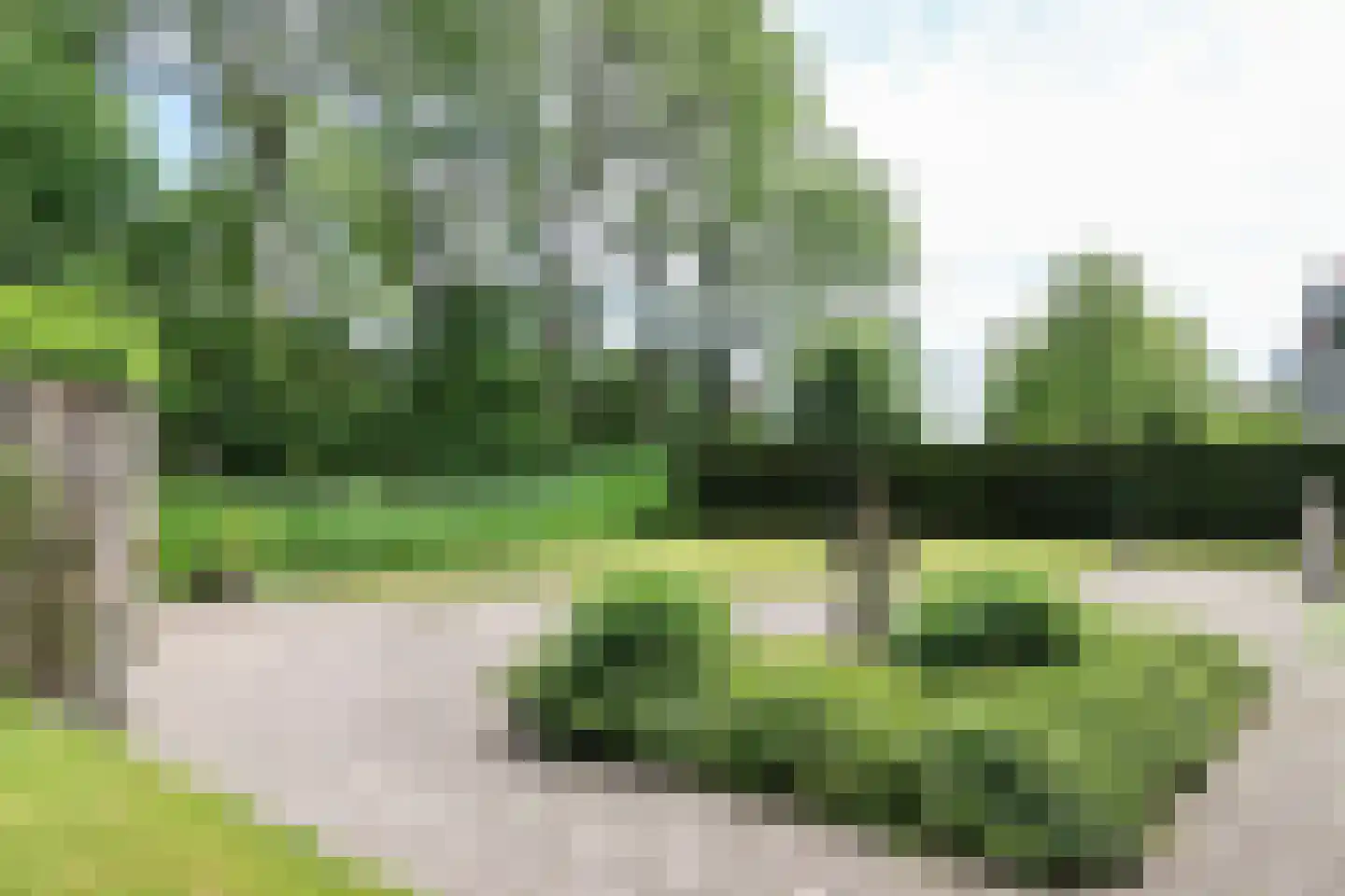 Waling Dykstrastrjitte 7 Spannum thumbnail 57
