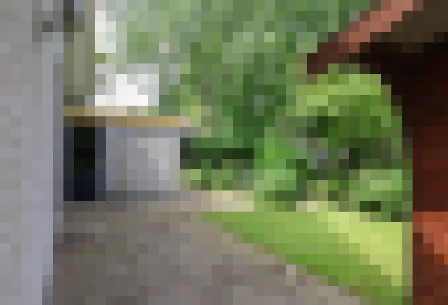 Waling Dykstrastrjitte 7 Spannum thumbnail 59