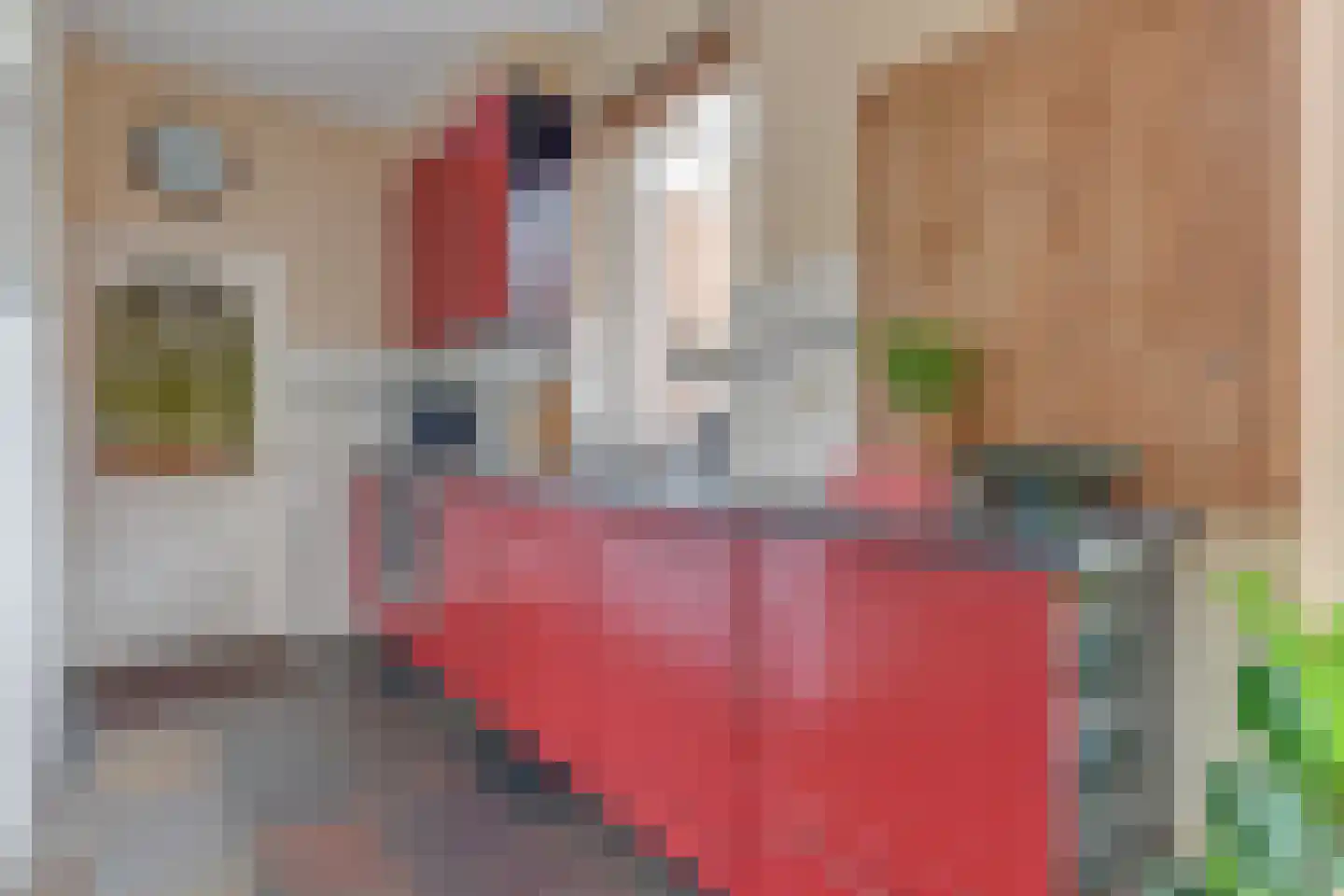 Walingsdijk 22 Ursem thumbnail 21