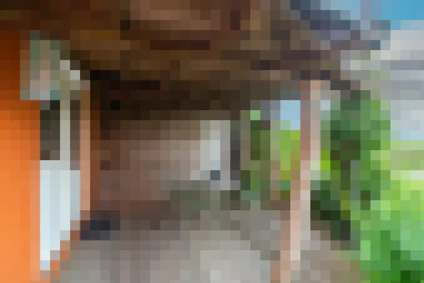 Walingsdijk 22 Ursem thumbnail 46