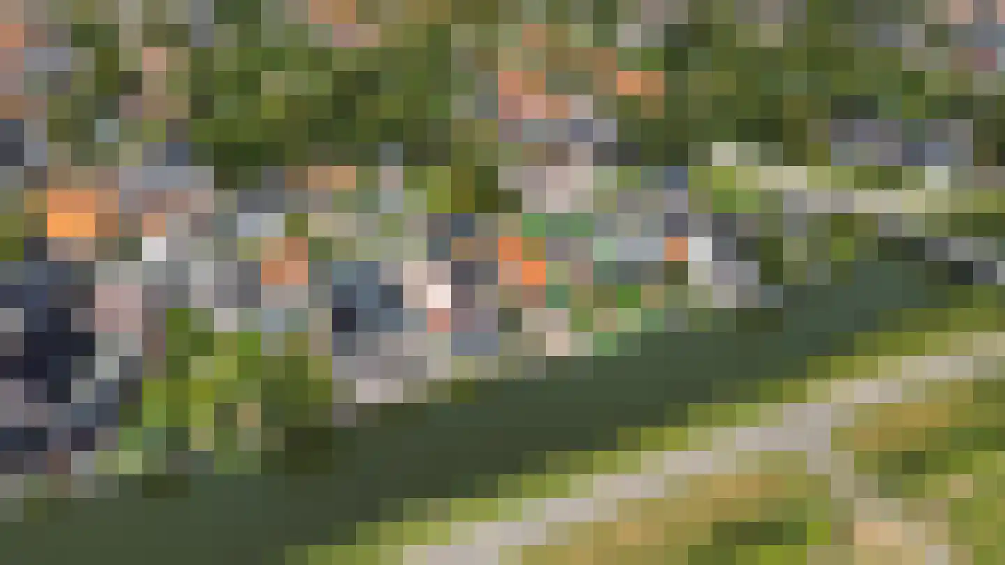 Walingsdijk 22 Ursem thumbnail 51