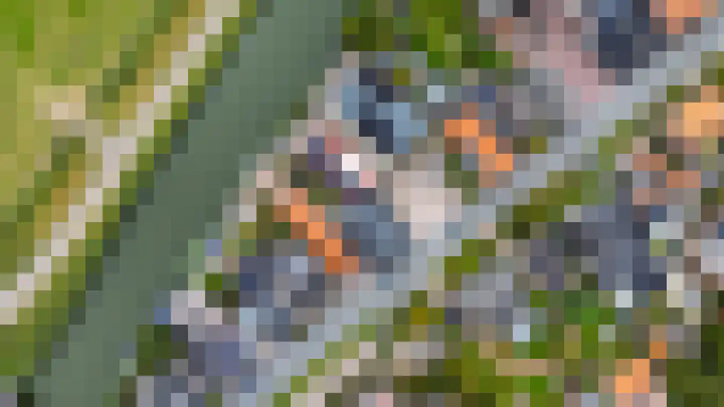 Walingsdijk 22 Ursem thumbnail 61