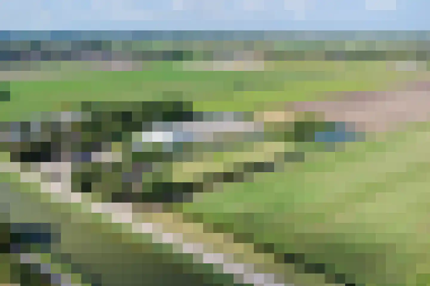 Walingsdijk 97 A Ursem thumbnail 12